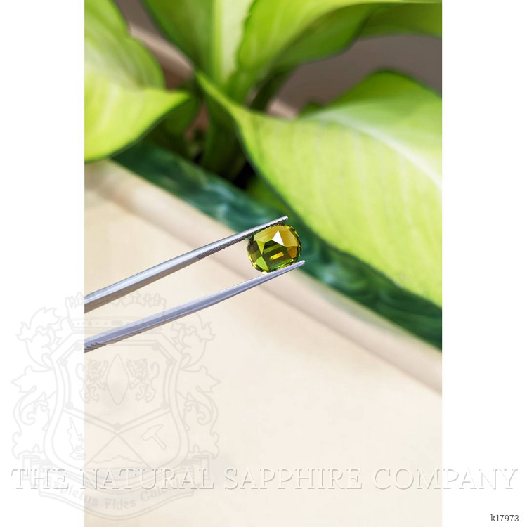 5.68 Ct. Peridot from Burma (Myanmar)