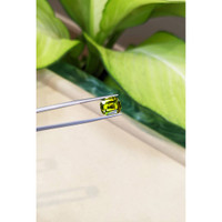 5.68 Ct. Peridot from Burma (Myanmar) Life Style