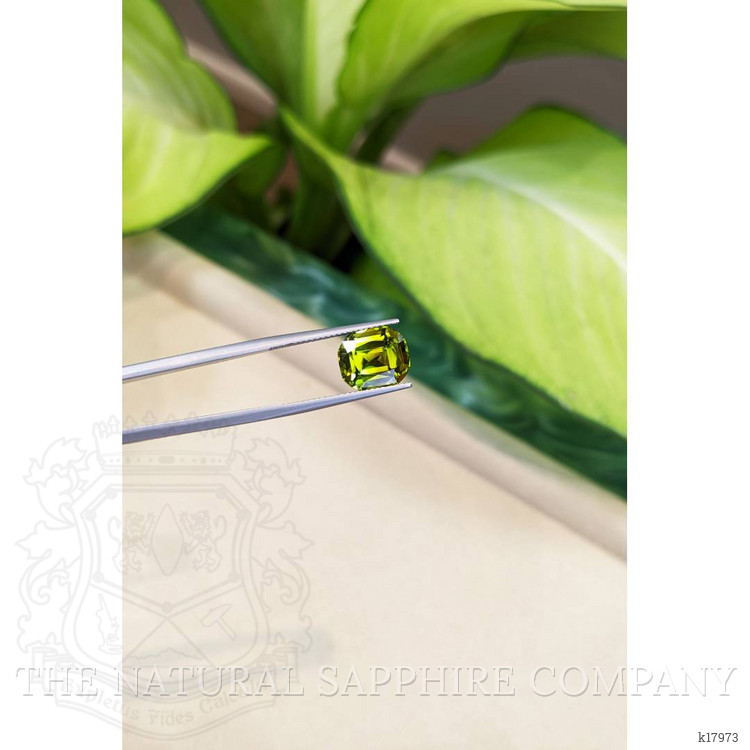 5.68 Ct. Peridot from Burma (Myanmar)