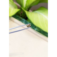 1.44 Ct. Zircon from Tanzania Life Style