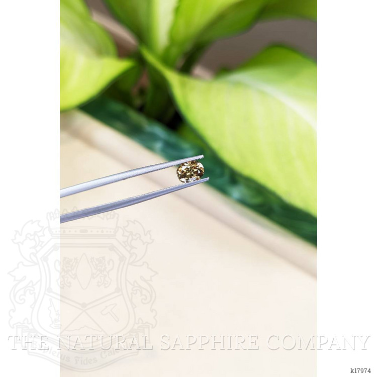 1.44 Ct. Zircon from Tanzania