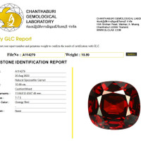 10.89 Ct. Spessartite Garnet from Nigeria Scan Report