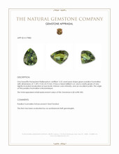 5.32 Ct. Paraiba Tourmaline from Mozambique Appraisal