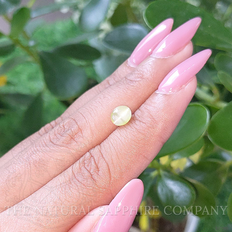 1.49 Ct. Cabochon Chrysoberyl from Ceylon (Sri Lanka)