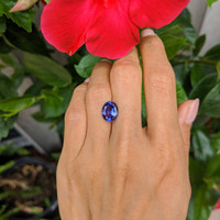 3.62 Ct. Tanzanite from Tanzania Life Style