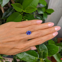 3.62 Ct. Tanzanite from Tanzania Life Style