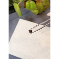 0.71 Ct. Zircon from Ceylon (Sri Lanka) Life Style