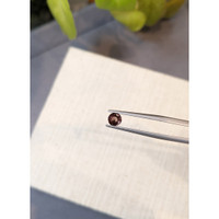 0.79 Ct. Zircon from Ceylon (Sri Lanka) Life Style