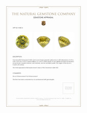 0.88 Ct. Greenish Yellow Zircon from Ceylon (Sri Lanka) Appraisal
