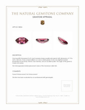 0.69 Ct. Garnet from Ceylon (Sri Lanka) Appraisal