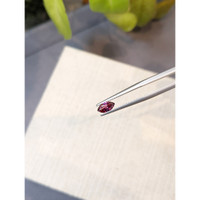 0.69 Ct. Garnet from Ceylon (Sri Lanka) Life Style