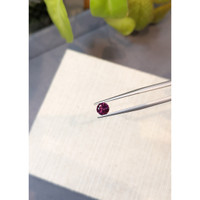 0.67 Ct. Garnet from Ceylon (Sri Lanka) Life Style