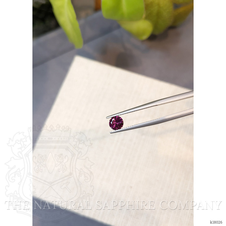 0.67 Ct. Garnet from Ceylon (Sri Lanka)