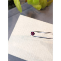 0.67 Ct. Garnet from Ceylon (Sri Lanka) Life Style