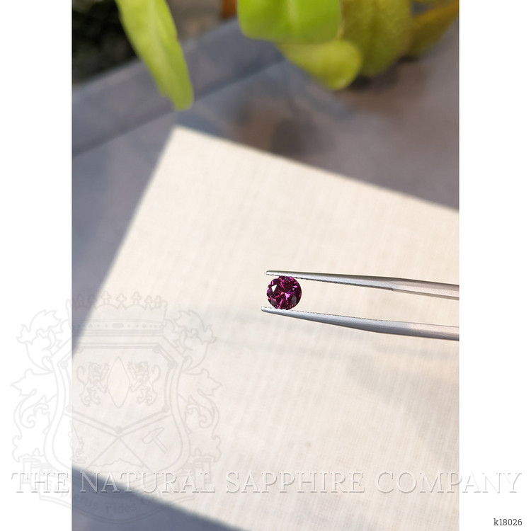 0.67 Ct. Garnet from Ceylon (Sri Lanka)
