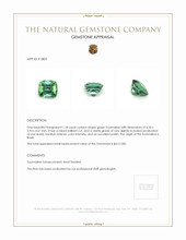 1.18 Ct. Tourmaline from Brazil Appraisal