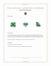 1.18 Ct. Green Tourmaline from Brazil Appraisal