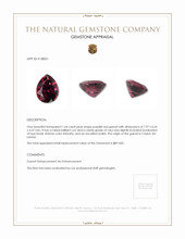 1.64 Ct. Purplish Red Garnet from Ceylon (Sri Lanka) Appraisal