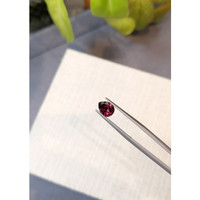 1.64 Ct. Garnet from Ceylon (Sri Lanka) Life Style