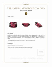 1.09 Ct. Garnet from Ceylon (Sri Lanka) Appraisal