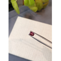 1.09 Ct. Garnet from Ceylon (Sri Lanka) Life Style