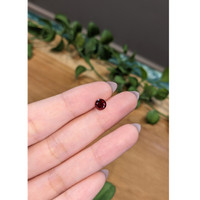 0.99 Ct. Garnet from Ceylon (Sri Lanka) Life Style