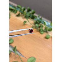 0.99 Ct. Garnet from Ceylon (Sri Lanka) Life Style