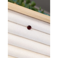 0.99 Ct. Garnet from Ceylon (Sri Lanka) Life Style