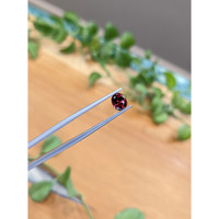 0.92 Ct. Garnet from Ceylon (Sri Lanka) Life Style