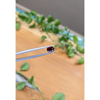 1.14 Ct. Garnet from Ceylon (Sri Lanka) Life Style