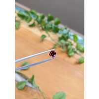 0.83 Ct. Garnet from Ceylon (Sri Lanka) Life Style