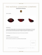 0.80 Ct. Red Garnet from Ceylon (Sri Lanka) Appraisal