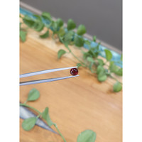 1.14 Ct. Garnet from Ceylon (Sri Lanka) Life Style