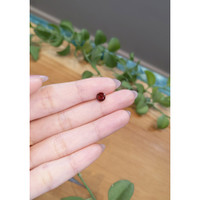 1.20 Ct. Garnet from Ceylon (Sri Lanka) Life Style