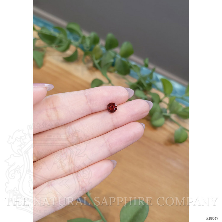 1.20 Ct. Garnet from Ceylon (Sri Lanka)