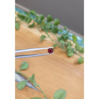 1.20 Ct. Garnet from Ceylon (Sri Lanka) Life Style