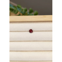 1.20 Ct. Garnet from Ceylon (Sri Lanka) Life Style