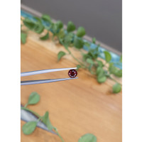 1.68 Ct. Garnet from Ceylon (Sri Lanka) Life Style