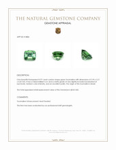 0.97 Ct. Green Tourmaline from Brazil Appraisal