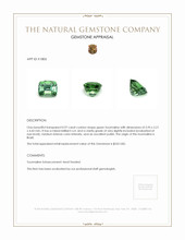 0.97 Ct. Tourmaline from Brazil Appraisal
