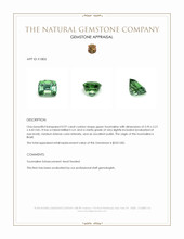 0.97 Ct. Tourmaline from Brazil Appraisal
