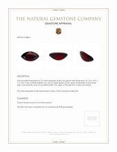 0.70 Ct. Garnet from Ceylon (Sri Lanka) Appraisal