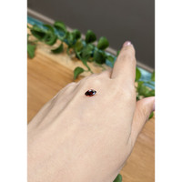 0.70 Ct. Garnet from Ceylon (Sri Lanka) Life Style