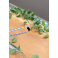 0.70 Ct. Garnet from Ceylon (Sri Lanka) Life Style