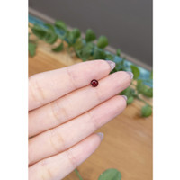 0.57 Ct. Garnet from Ceylon (Sri Lanka) Life Style