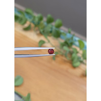 0.57 Ct. Garnet from Ceylon (Sri Lanka) Life Style