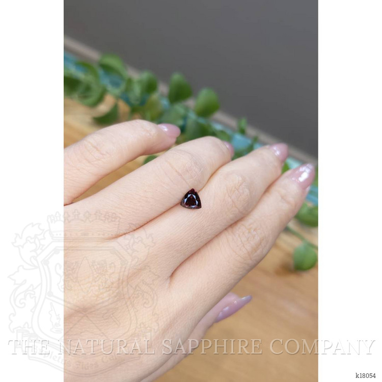 1.02 Ct. Purplish Pink Garnet from Ceylon (Sri Lanka)