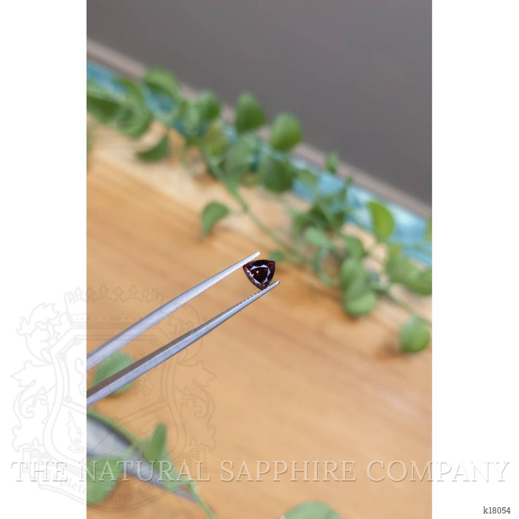 1.02 Ct. Purplish Pink Garnet from Ceylon (Sri Lanka)