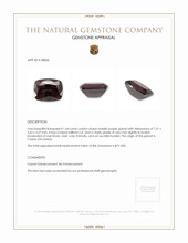 1.64 Ct. Garnet from Ceylon (Sri Lanka) Appraisal