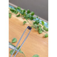 1.64 Ct. Garnet from Ceylon (Sri Lanka) Life Style